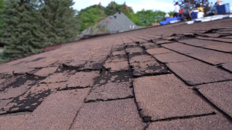 Best Green or Eco-Friendly Roofing Solutions  in Mount Olive, MS