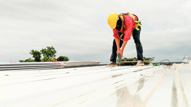 Emergency Roof Repair in Mount Olive, MS