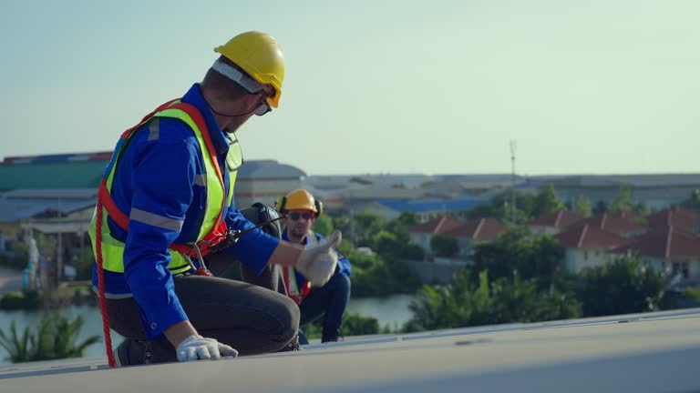 Best Steel Roofing  in Mount Olive, MS