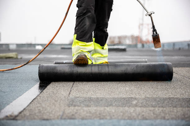 Best Gutter Installation and Repair  in Mount Olive, MS