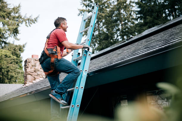 Gutter Replacement in Mount Olive, MS
